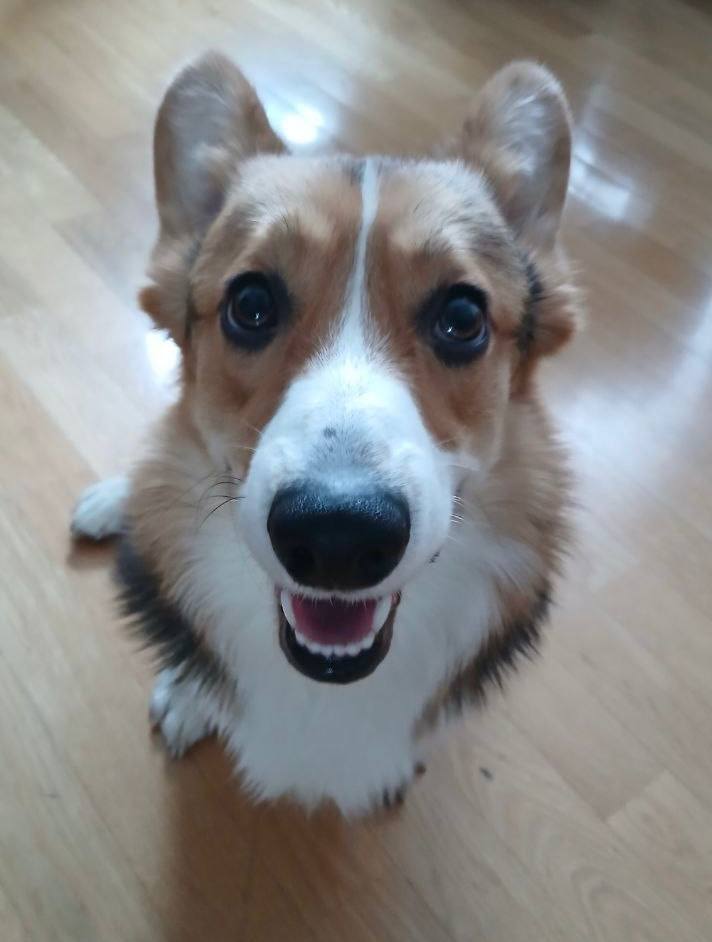 О погоде на 26 февраля . В Краснодарском крае облачно с прояснениями О погоде на 26 февраля . В Краснодарском крае облачно с прояснениями