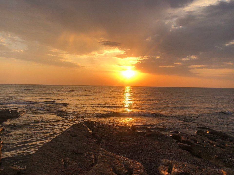 � ������ �� 26 ������� . � ������������� ���� ������� � ������������