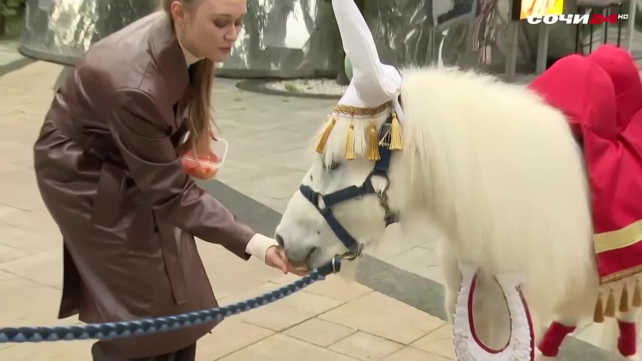 Нашему любимому пони исполнилось 18 лет!