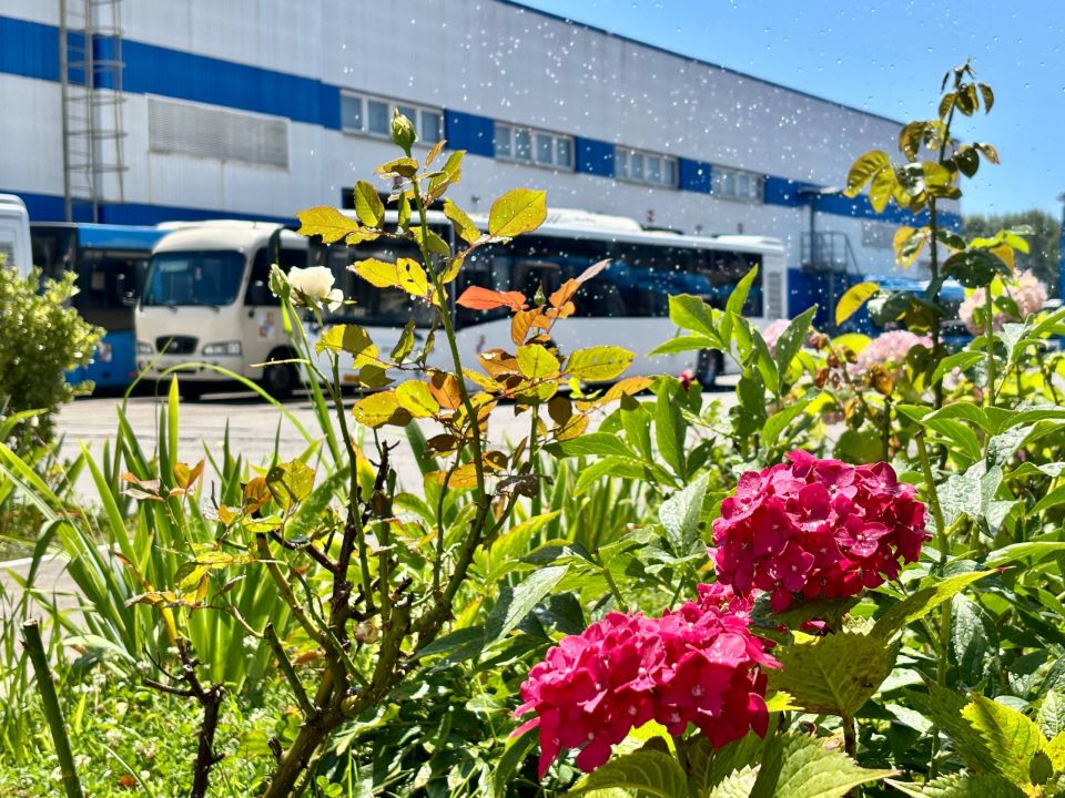 ������ ����!. ����� �������� � �������, ����� ���� ���� ����� ���������, ������� ������ ������ �������, ������ ������ �������, ������� ������������