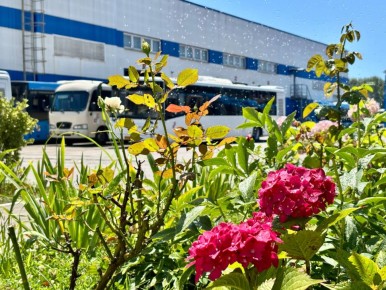 Доброе утро!. Бодро въезжаем в пятницу, пусть этот день будет нетрудным, принесёт только добрые новости, весёлые и яркие события, позитив и вдохновение