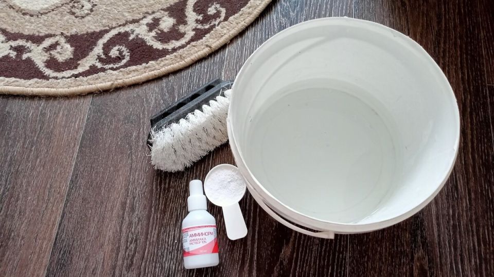 ��� ����� � ���������� �������� ������ �����