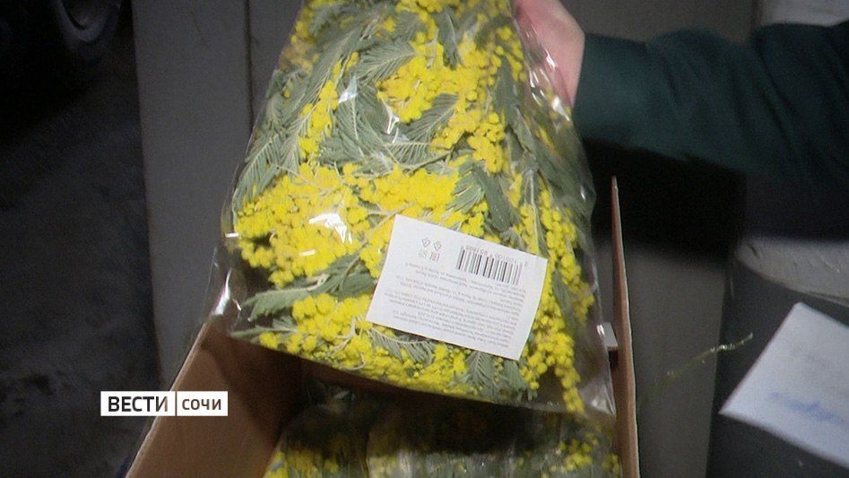 200 ���� ������ ������� �� ������� � ���� � ������ �������