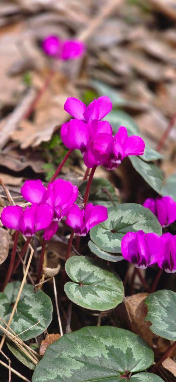 О погоде на 27 февраля . В Краснодарском крае облачно с прояснениями О погоде на 27 февраля . В Краснодарском крае облачно с прояснениями