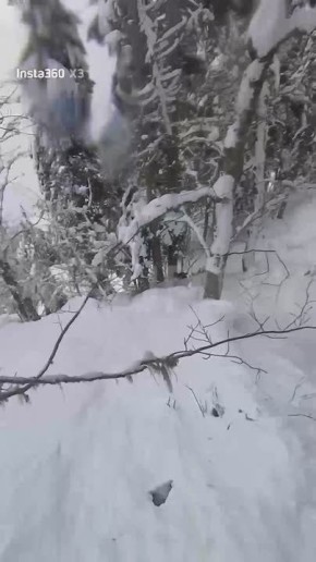 ������ �����������: ��������� ������ ������������ � �������� ��������� �� ���� ��� � ������� ������