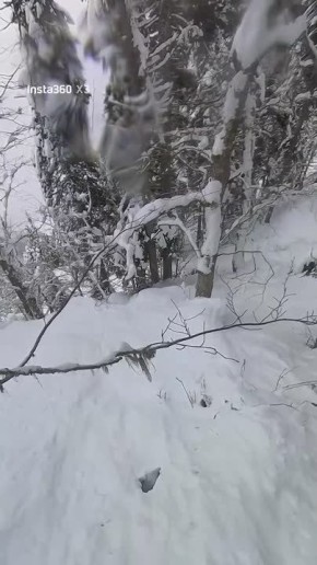 "�������, �������": ������������ ���������� �� ������� � ������� ������