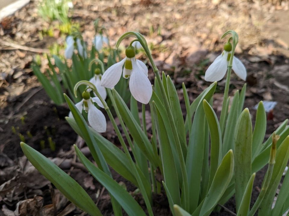 ����� �� ���: �������������� �������� ��������������� ����� ��������