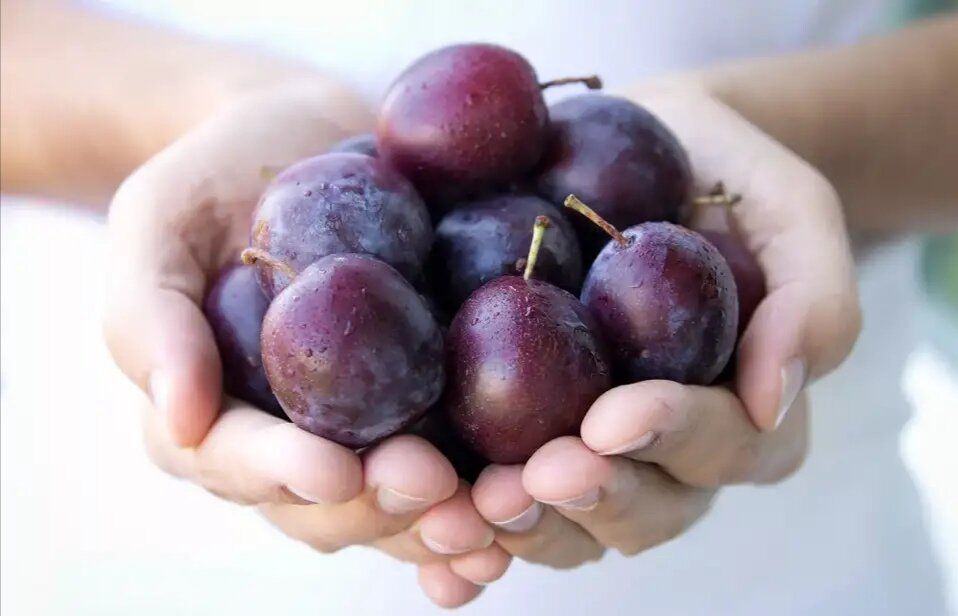 ��������� ������� �� ����: ������ ��������� � �������