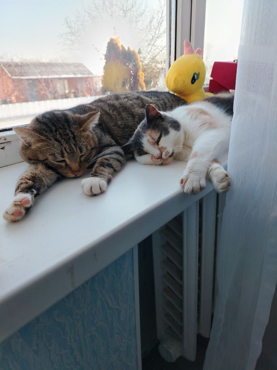 Доброе утро, Кубань!. Краснодар +6 °С