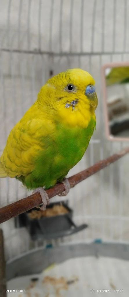 Доброе утро, Кубань!. Краснодар +6 °С Доброе утро, Кубань!. Краснодар +6 °С