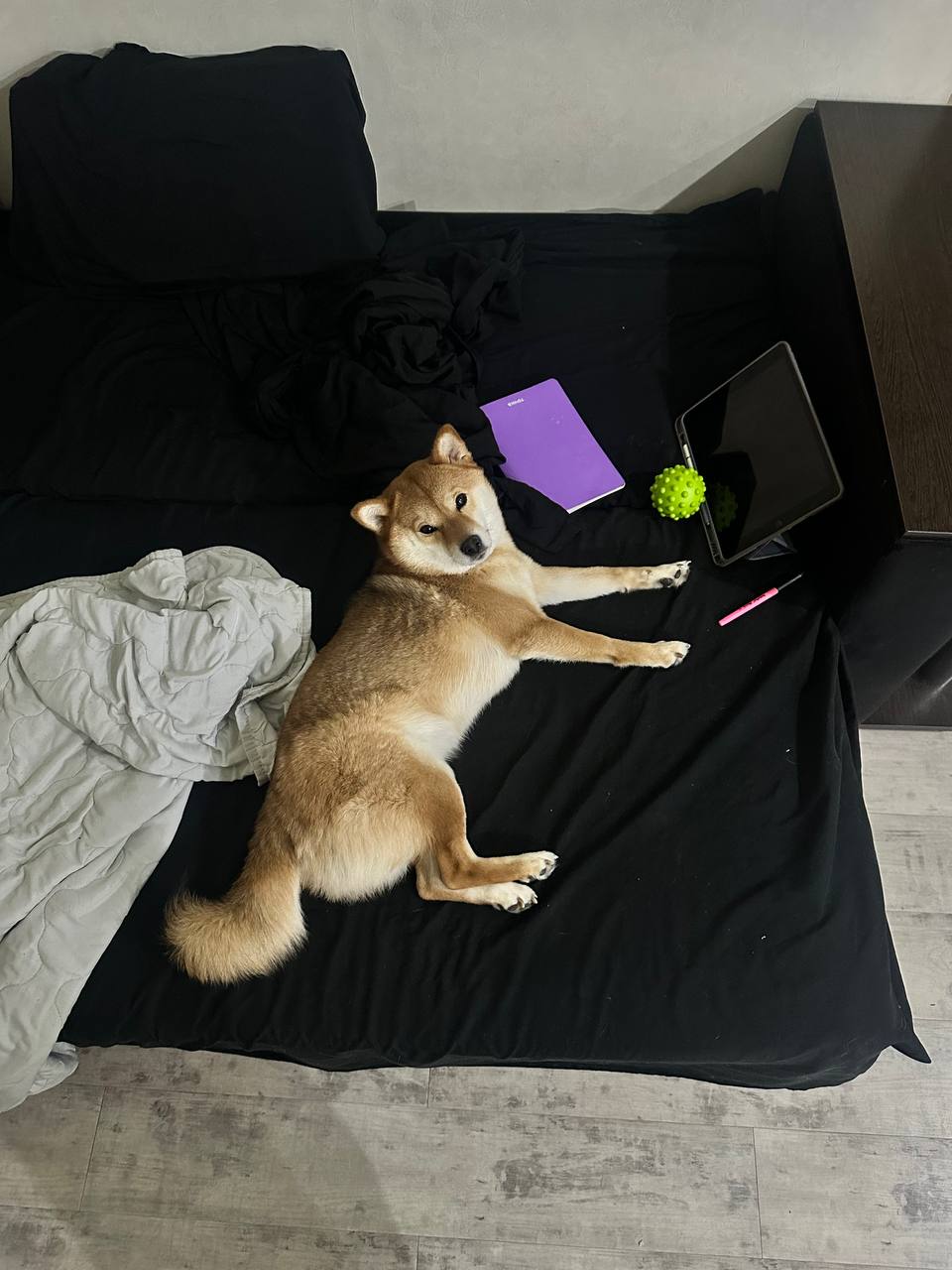 Доброе утро, Кубань!. Краснодар +6 °С Доброе утро, Кубань!. Краснодар +6 °С