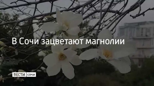 ������ ��� ������������ �� �������� ����� � ����� "����� ��������", ���� ������ ��� ������� �������� �������