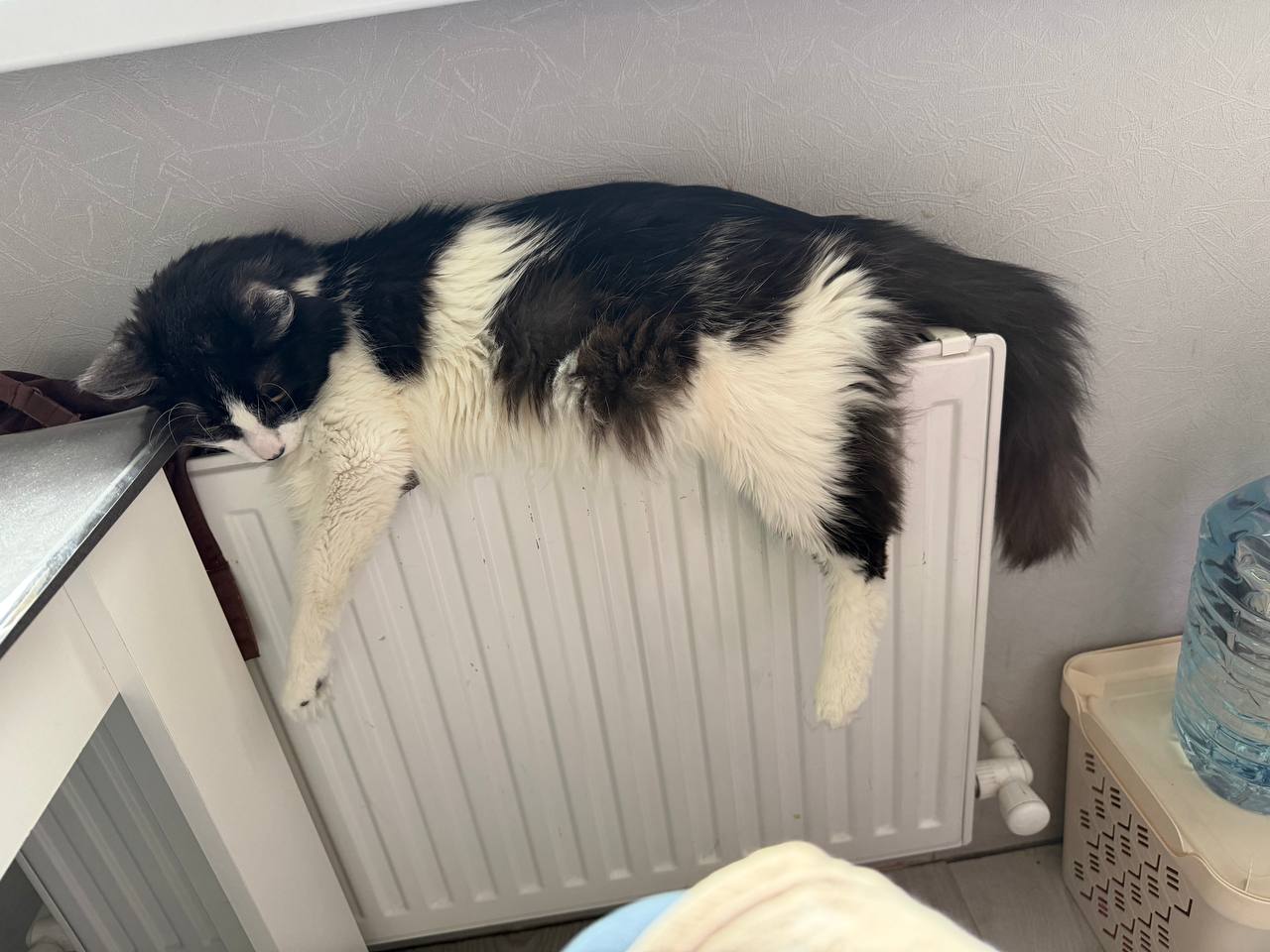 Доброе утро, Кубань!. Краснодар +6 °С Доброе утро, Кубань!. Краснодар +6 °С