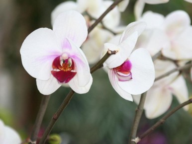 ������ ����� �� ���������: ��� ��������� �� ������ �����