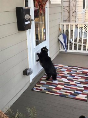 ������� ������������ �������� �����: ������������ ������� � ������ ����