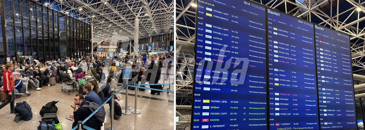 Юные музыканты устроили концерт для пассажиров сочинского аэропорта Юные музыканты устроили концерт для пассажиров сочинского аэропорта