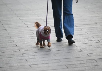 �� ������ ������� ������ �������� ��������� � ��������