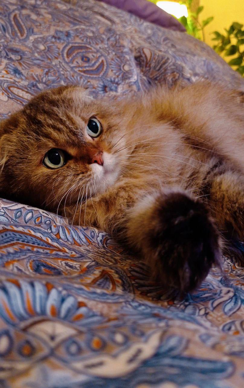 О погоде на 1 марта . В Краснодарском крае переменная облачность О погоде на 1 марта . В Краснодарском крае переменная облачность