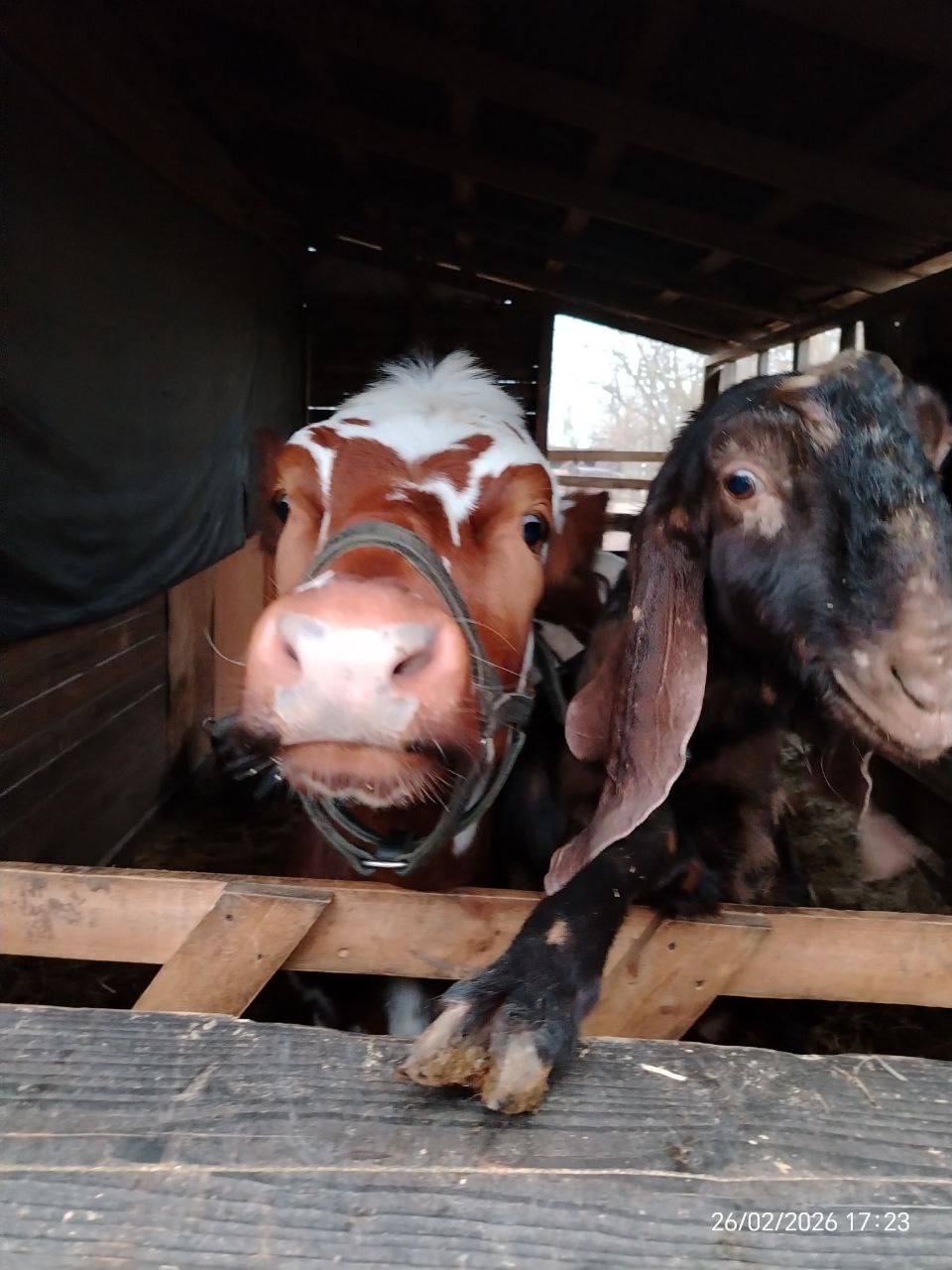 О погоде на 1 марта . В Краснодарском крае переменная облачность О погоде на 1 марта . В Краснодарском крае переменная облачность