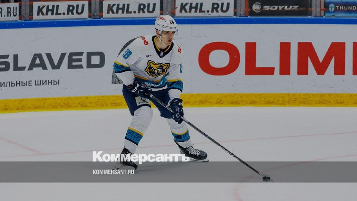 Матч КХЛ «Сочи» — «Торпедо» прервали из-за угрозы БПЛА