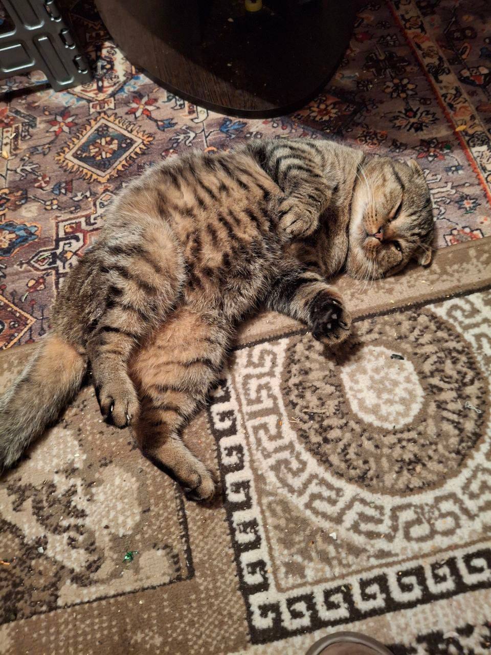 О погоде на 1 марта . В Краснодарском крае переменная облачность О погоде на 1 марта . В Краснодарском крае переменная облачность