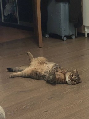 О погоде на 1 марта . В Краснодарском крае переменная облачность