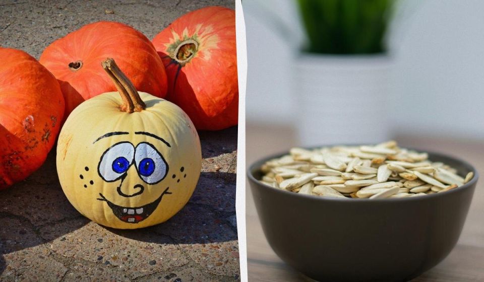 ��������� ��������� �������: ������� ���������� �������������