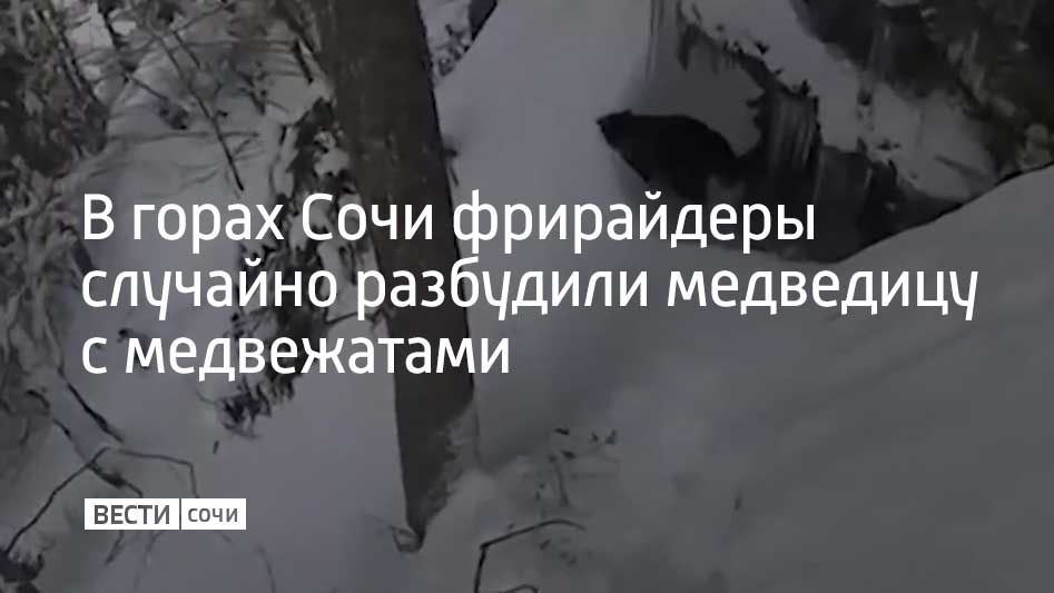 � ���� �������� ������������ �����, ������ � ����� ����: ������ ����������� �������� �� ��������������� ������� � ���� � ���������� �� �������, ��� �������� ��������� � ����������