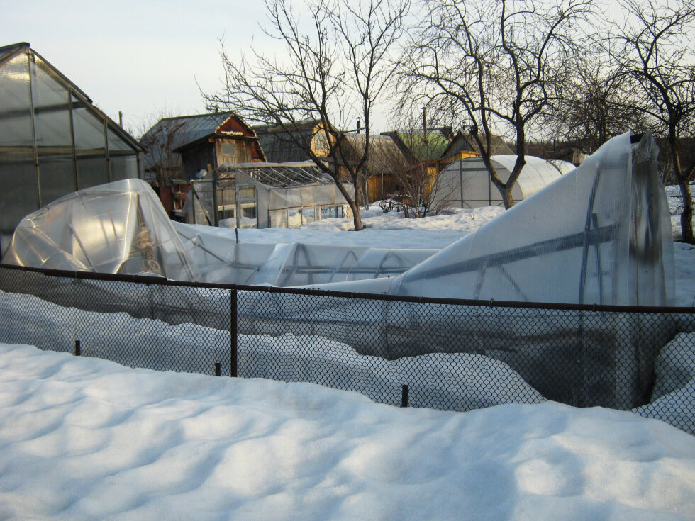 Путь к надежной зимовке: как подготовить теплицу из поликарбоната