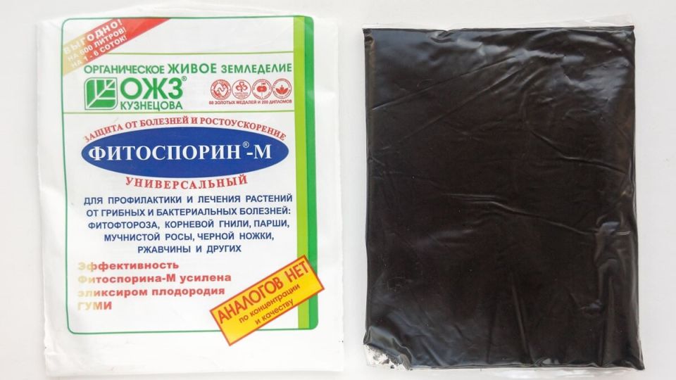 ��� ��������� �������� ������������: ������� �������������