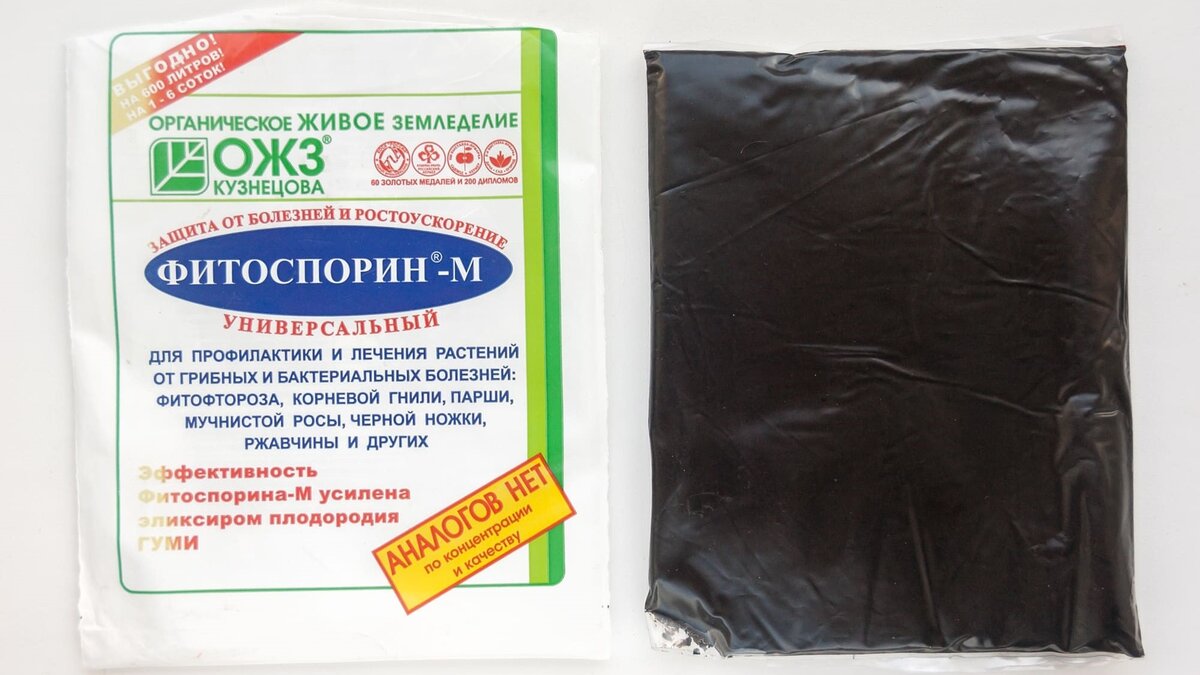 Как правильно развести «Фитоспорин»: секреты использования