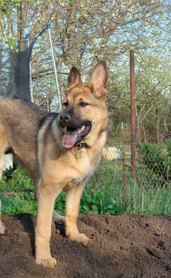 Доброе утро, Кубань!. Краснодар -2…+9 °С Доброе утро, Кубань!. Краснодар -2…+9 °С