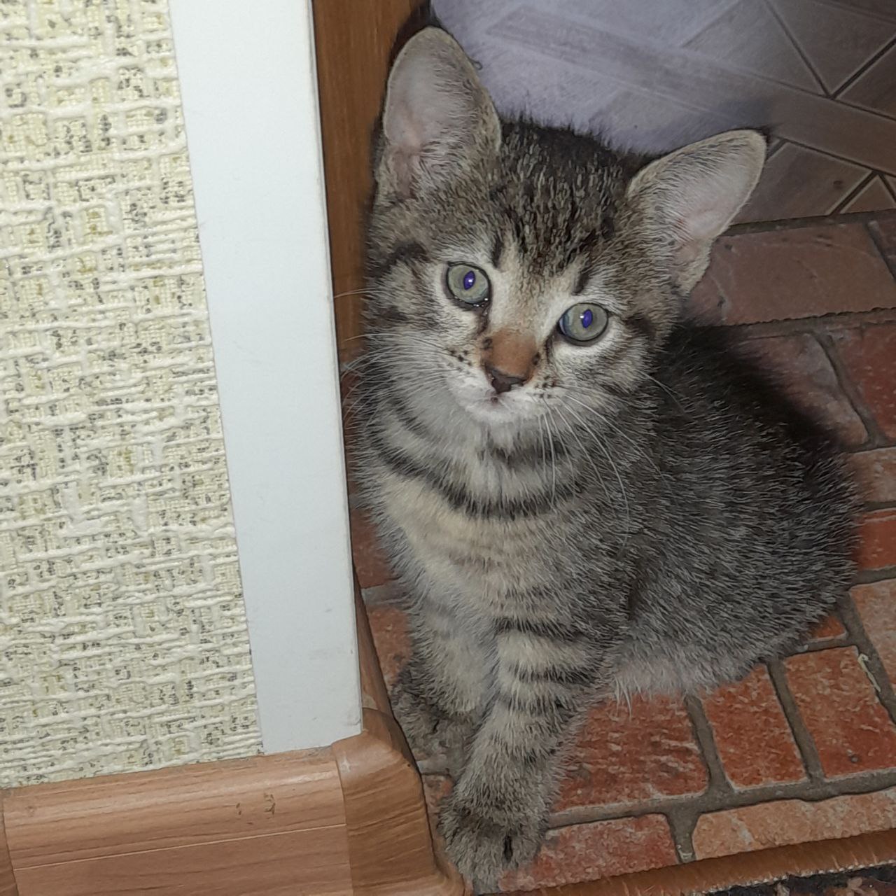 Доброе утро, Кубань!. Краснодар -2…+9 °С Доброе утро, Кубань!. Краснодар -2…+9 °С