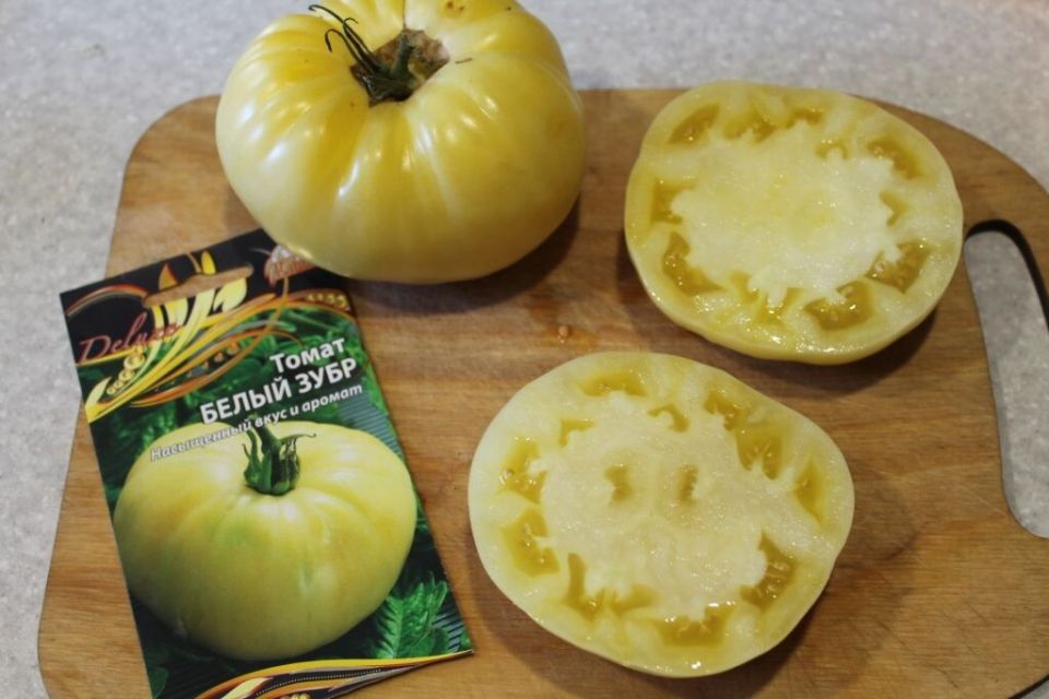 ����� ������ ����: ����������� � ������� �����������