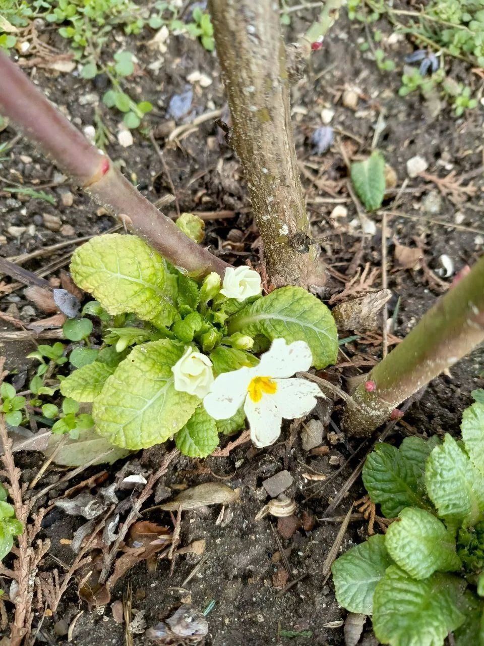 О погоде на 2 марта . В Краснодарском крае переменная облачность О погоде на 2 марта . В Краснодарском крае переменная облачность