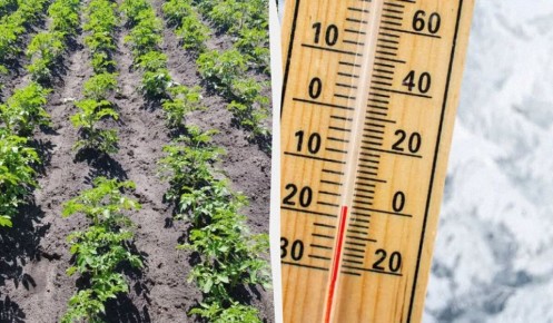 ��� ������ ��������� ���������: ������������ ������ ��� �����������