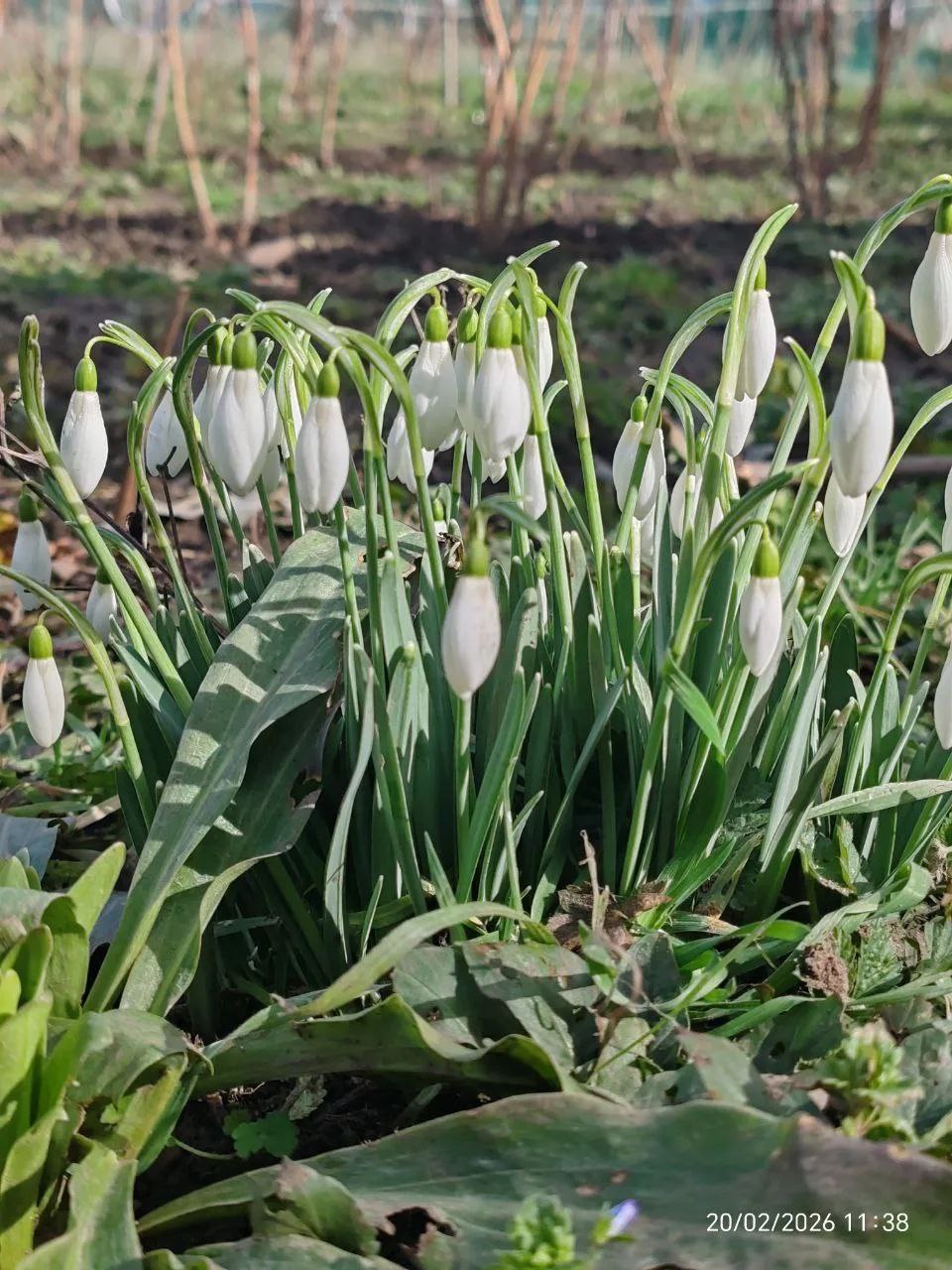 О погоде на 2 марта . В Краснодарском крае переменная облачность О погоде на 2 марта . В Краснодарском крае переменная облачность