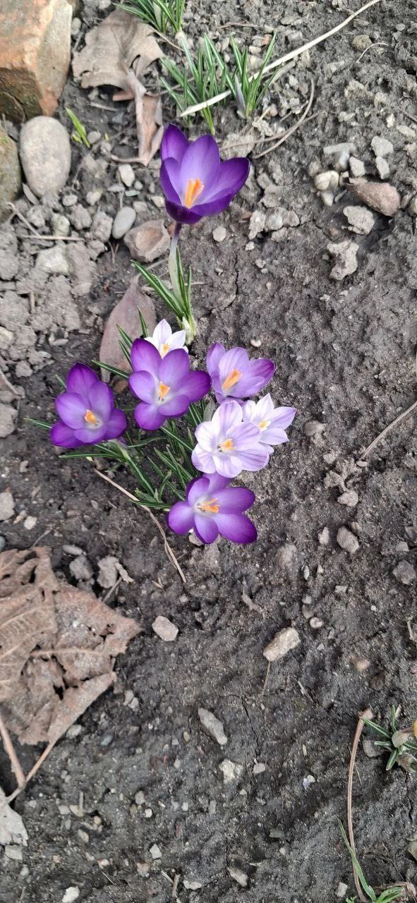 О погоде на 2 марта . В Краснодарском крае переменная облачность О погоде на 2 марта . В Краснодарском крае переменная облачность