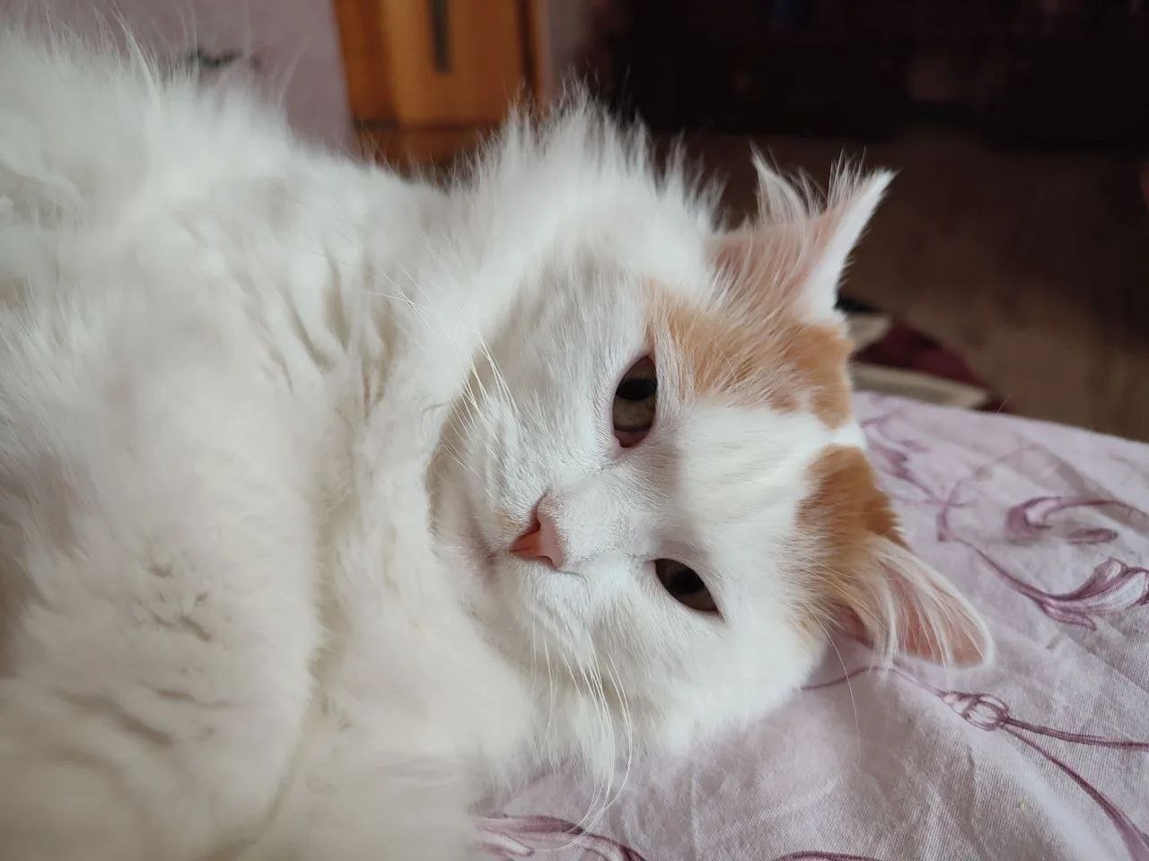 О погоде на 2 марта . В Краснодарском крае переменная облачность О погоде на 2 марта . В Краснодарском крае переменная облачность