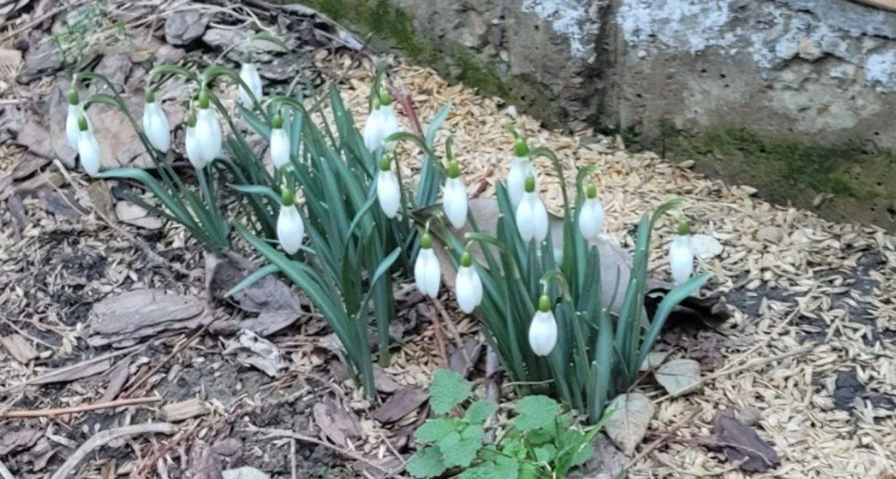 О погоде на 2 марта . В Краснодарском крае переменная облачность О погоде на 2 марта . В Краснодарском крае переменная облачность