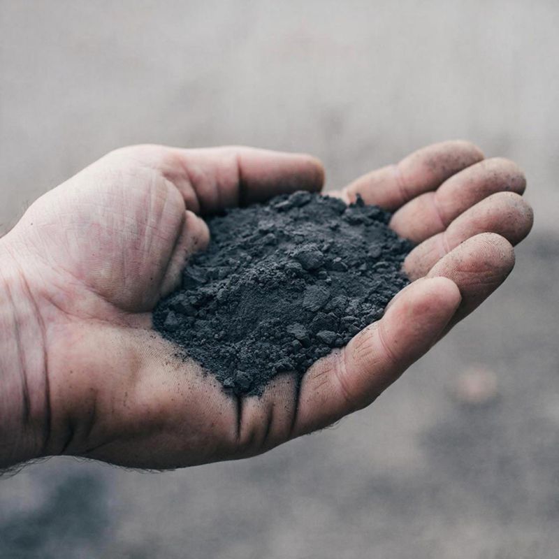 ������ ��������� ���� ����� �� ��������� ��������