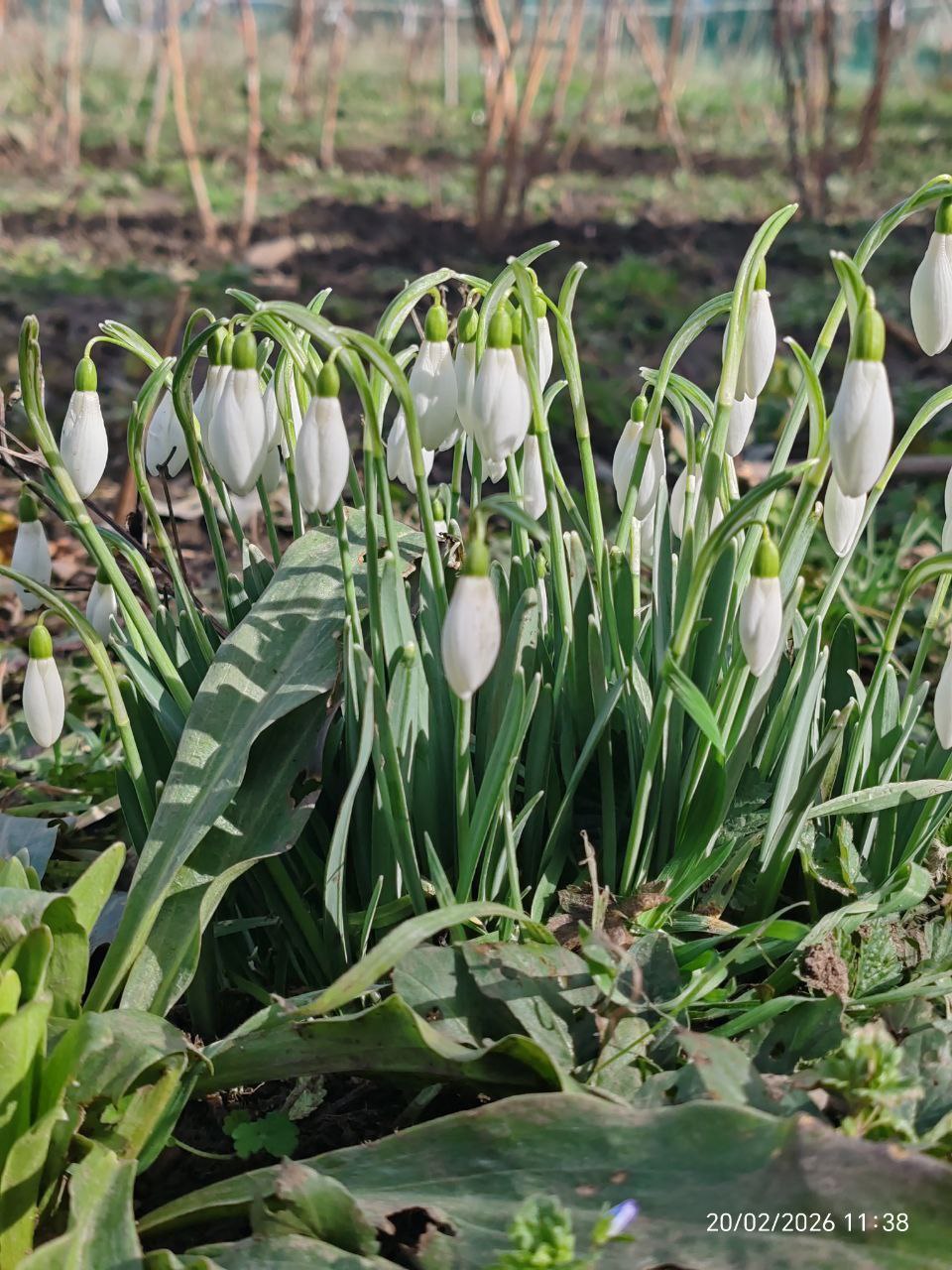 О погоде на 4 марта . В Краснодарском крае облачно с прояснениями О погоде на 4 марта . В Краснодарском крае облачно с прояснениями