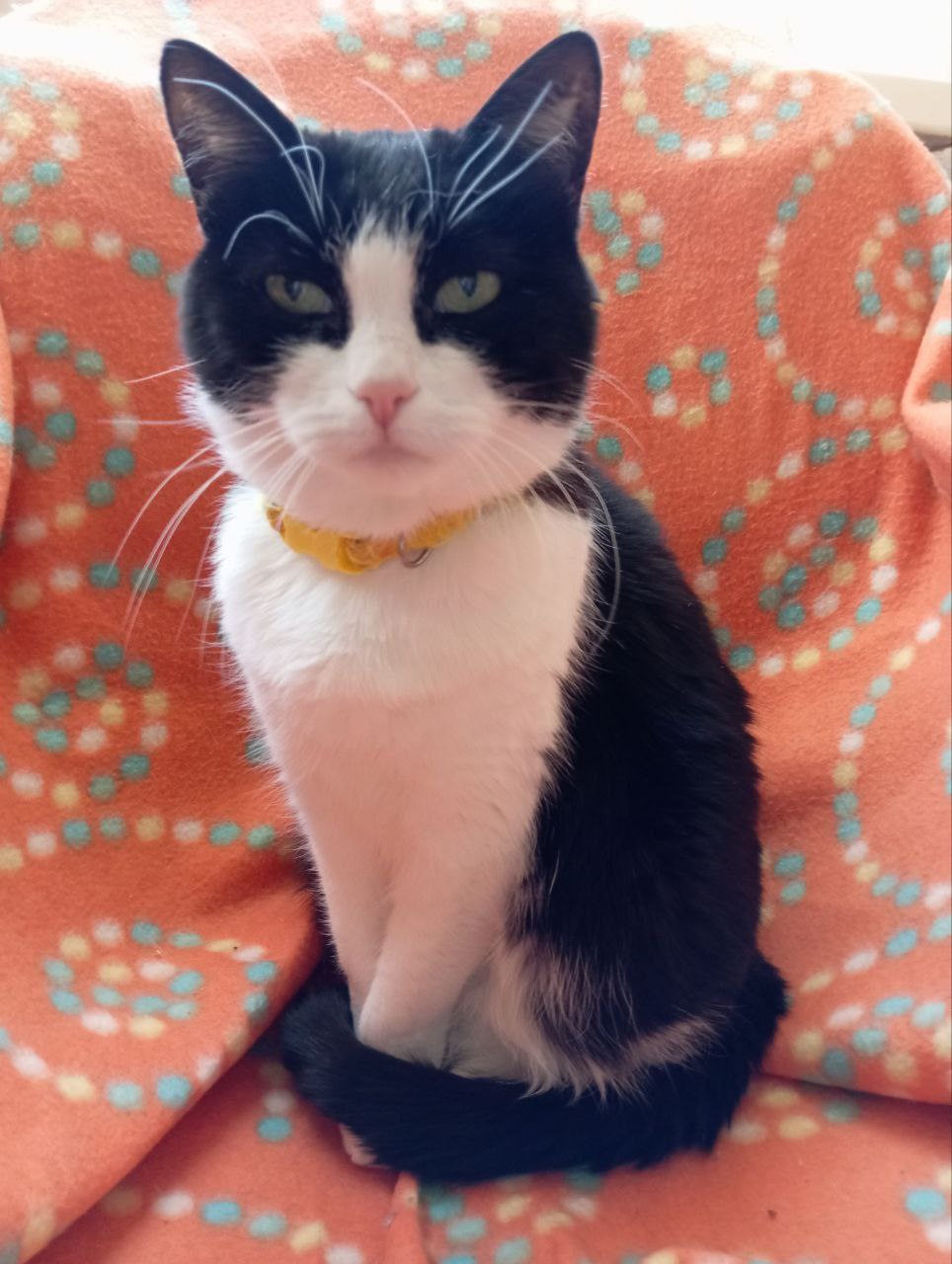 О погоде на 4 марта . В Краснодарском крае облачно с прояснениями О погоде на 4 марта . В Краснодарском крае облачно с прояснениями