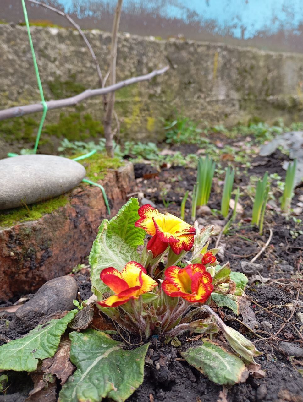 О погоде на 4 марта . В Краснодарском крае облачно с прояснениями О погоде на 4 марта . В Краснодарском крае облачно с прояснениями