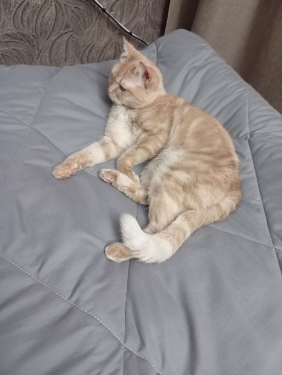 О погоде на 4 марта . В Краснодарском крае облачно с прояснениями О погоде на 4 марта . В Краснодарском крае облачно с прояснениями