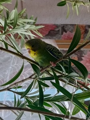 ������ ����, ������!. ��������� +6 ��