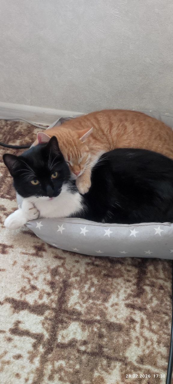 О погоде на 4 марта . В Краснодарском крае облачно с прояснениями О погоде на 4 марта . В Краснодарском крае облачно с прояснениями