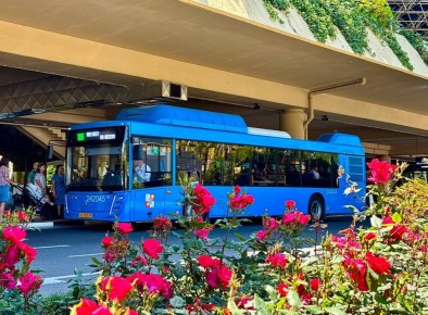 � ��������� ���� ���������� ����������� ��������� ����������� �� �����