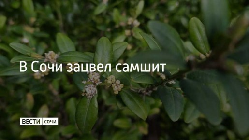 � ��������� ����� "���������" ������ ��������� ����� ��������� ���������� ������