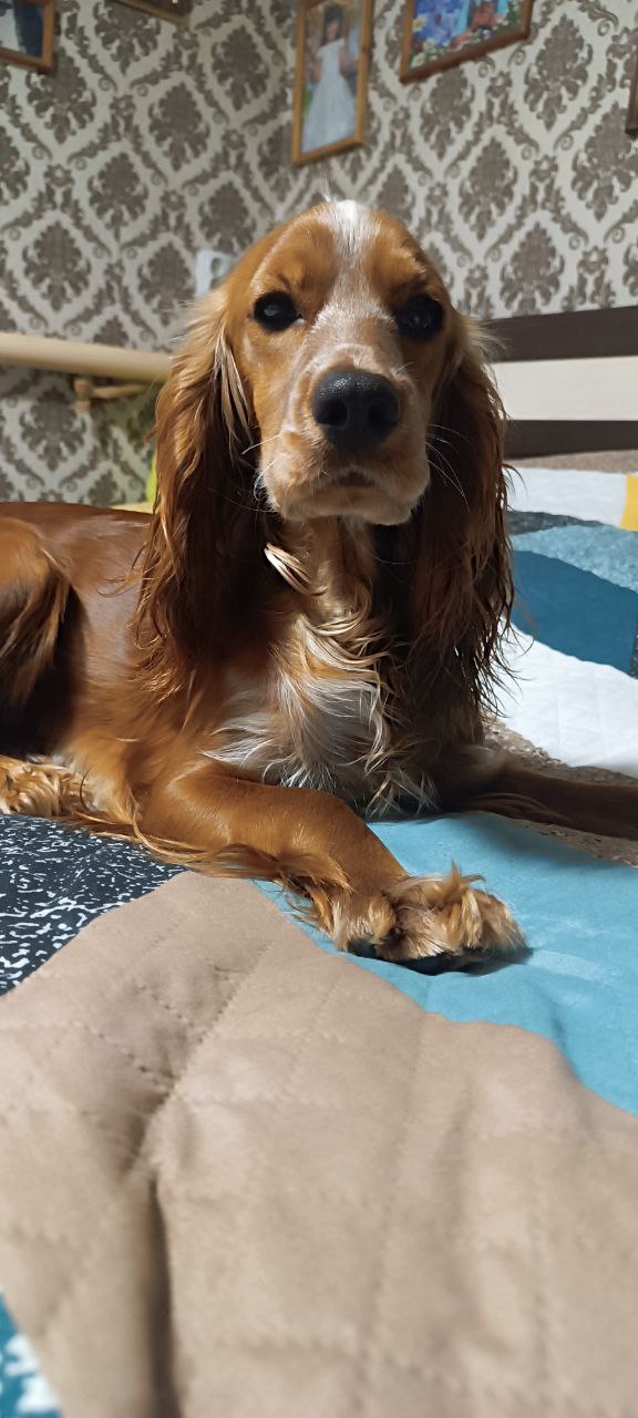 Доброе утро, Кубань!. Краснодар +9 °С